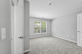 A room with a carpeted floor and a window showing trees outside.